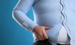 Rapor: Heta serra 2035î do nêmeyê însanan bibê obez!
