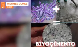 Bîyolojî û Muhendîsîye: Bîyoçîmento