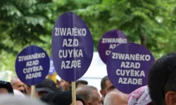 Statu û perwerde şert o: Sîyaset gere wayîrê Zazakî vejîyo