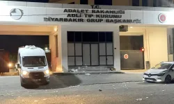 Amed de cinîyêka ciwane ameye kiştene