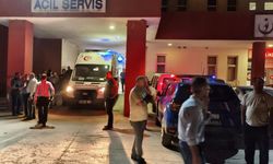 Şankuş de manga wayîrê xo kerd birîndar