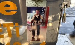 Germê Amedî de seba honikbîyayîşî awa sûsê: 32 serrîyo ke nê karî keno