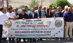 Festîvala Girê Koxî ya Gimgimî dest pêkerd