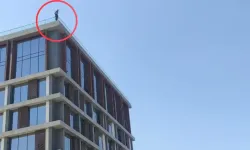 Karkero ke nêeşka heqê xo bigîro waşt xo bikişo