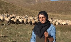 Şiwana Dêrsîmî Ozlem Baloğlu emser karê xo kena