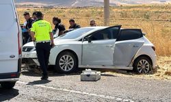 Amed de cînayêk kişîya: Kiştoxî badê zî xo kişt