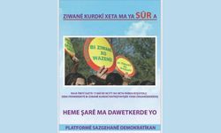 Amed de semedê Zazakî-Kurmanckî rayraşîyayîş: Ziwanê Kurdkî xeta ma ya sûr a