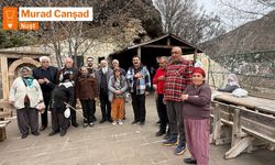 BAWERÎYA RAYA HEQÎ DE HÎYERARŞÎ