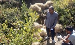 Dêrsim: 40 mîyî merdar bîyî