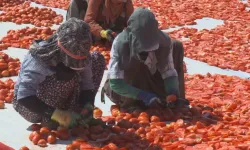 Koyê Qerejdaxî de wextê arêdayîşê firingîyan