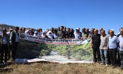 Kanîreş de qirkerdişê daran: Daristanê ma pêşkêşê sermaye mekêne