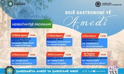 Kulturê mitbaxê Amedî cayanê tarîxîyan de gandar beno
