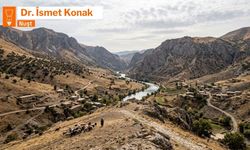 Kurdî û Komara Tirkîya