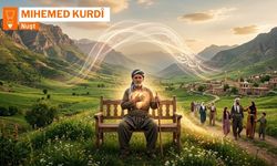 Zerrîpakî sermayeyê tewr pîl o