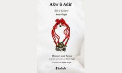 Rengê cinîyan edebîyat de: Kitabê şaîre Pinar Ozgule "Awe û Adir"
