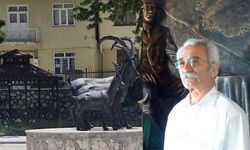 Dêrsim: Otomobîl da kalikê 82 serrî ro, merd