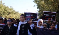Sergêra Qirkerdişê Garê Anqara: Ganî hesabê ci bêro dayîş