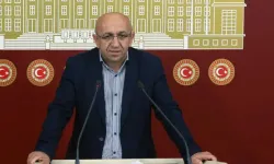 Wekîlê Dêrsimî yo verên Alican Önlü ame tepiştiş