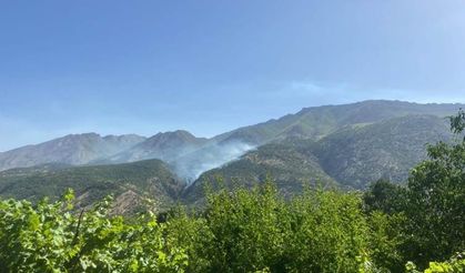 CPT: Tirkîya emser 404 rey Herêma Kurdistanî bombarduman kerda