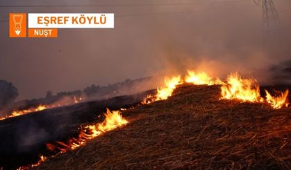 Şewata Ferêzan: Bêaqilîya ke gan û malê ma veşnena