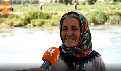 Cinîyê ma yê karkerî û jîhatî...