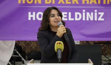 DEM Partî ra cewabê 'Celadî': Ma celadê xo baş şinasnenê