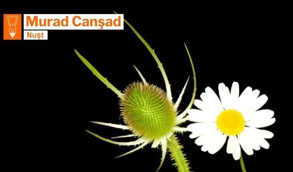 PÊKEWTIŞ Û PÊKERDIŞ