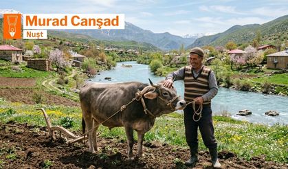 Goynayîş û teqdîrkerdiş