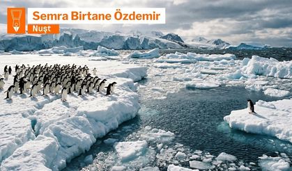 Germinîya globale û vurîyayîşê îklîmî