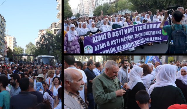 FOTO: Amed de pîrozkerdişê 1ê Êlule Roja Aştîye ya Dinya