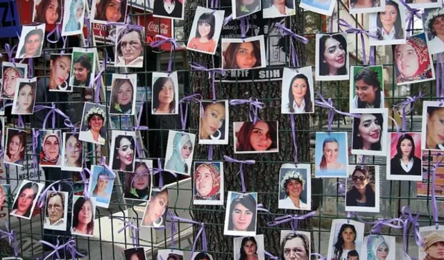 Camêrdan Adare de 17 cinî kiştê