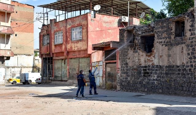Xirbeyê Dîyarbekirî yene dermankerdiş