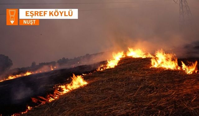 Şewata Ferêzan: Bêaqilîya ke gan û malê ma veşnena