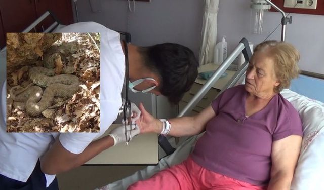 Dêrsim de marî demê îbadetî de cinîye gaz kerde