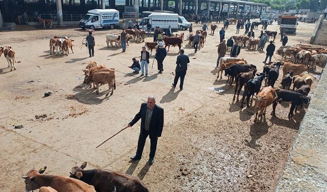 Welat de tersê nêweşîya tebaqî: Bazarê heywanan padîyay!