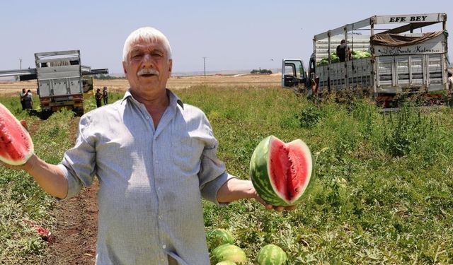 Zebeşê namdarî yê Dîyarbekirî vejîyayê
