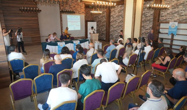 Dîyarbekir de Meclîsê Ziwanî ronîyayîşê xo îlan kerd