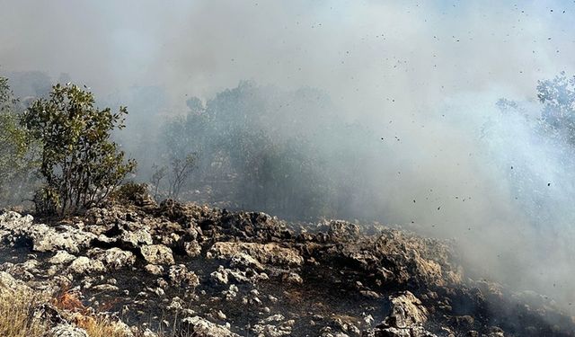 Pîran de şewat vejîya