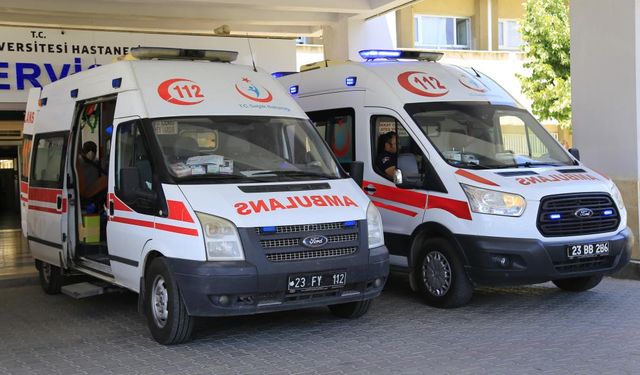 Xarpêt de wesayît da kale 77 ro û merd