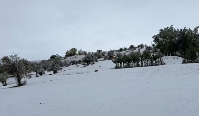 Çewlîg de vewra verêne varaye