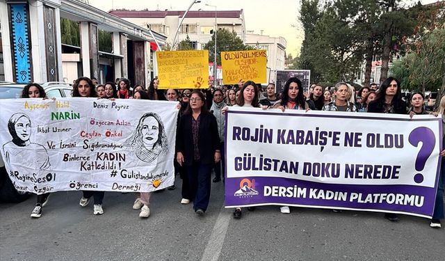 Dêrsim de seba Rojîne Kabaîş edalet ame waştiş