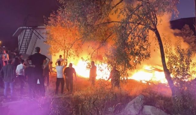 Dêrsîm de şîy veyve la adir kerdî hewna
