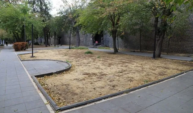 Amed de cinîyêk merde ameye vînayîş!