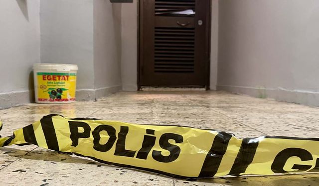 AMED: Yew kesî dadî û kekê xo hewn de kiştî