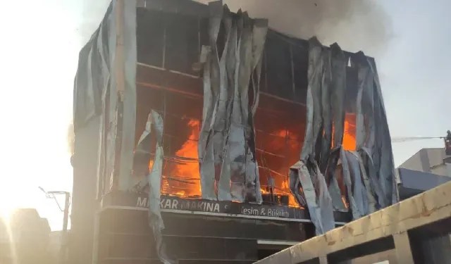 Adir kewt depoyê parfumî: Şeş tenî merdî