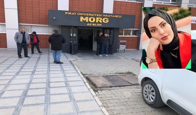 Xarpêt de cinîyêk ameye qetilkerdiş