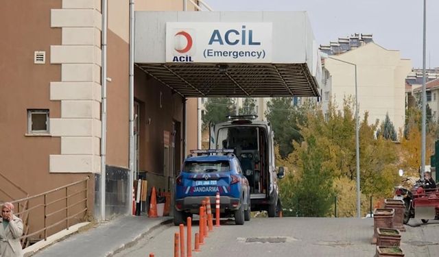 AMED: Zamayî vistewreyê xo û birayê cinîya xo kişt!