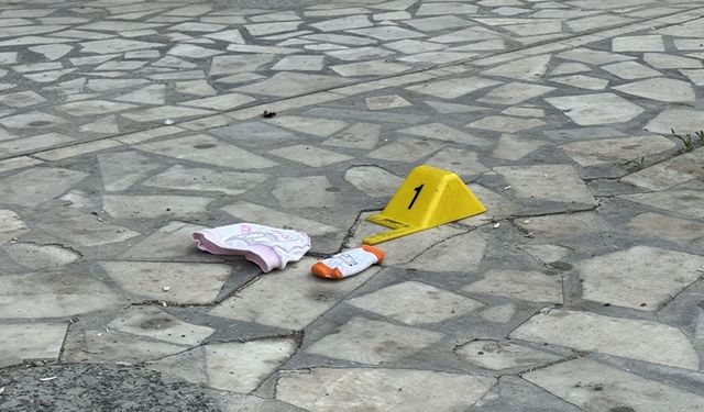 Amed- Dayîkêke pitika xo ya 3 aşme eşte war û kişte