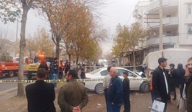 Sêwreg de otomobîl da cinîya ke 15 rojî verî weledîyabî ro: Cinî merde