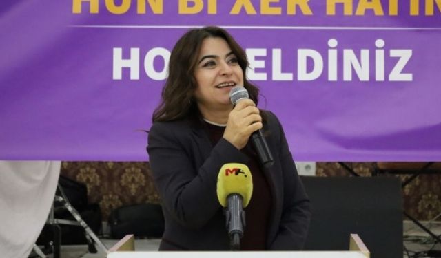 DEM Partî ra cewabê 'Celadî': Ma celadê xo baş şinasnenê